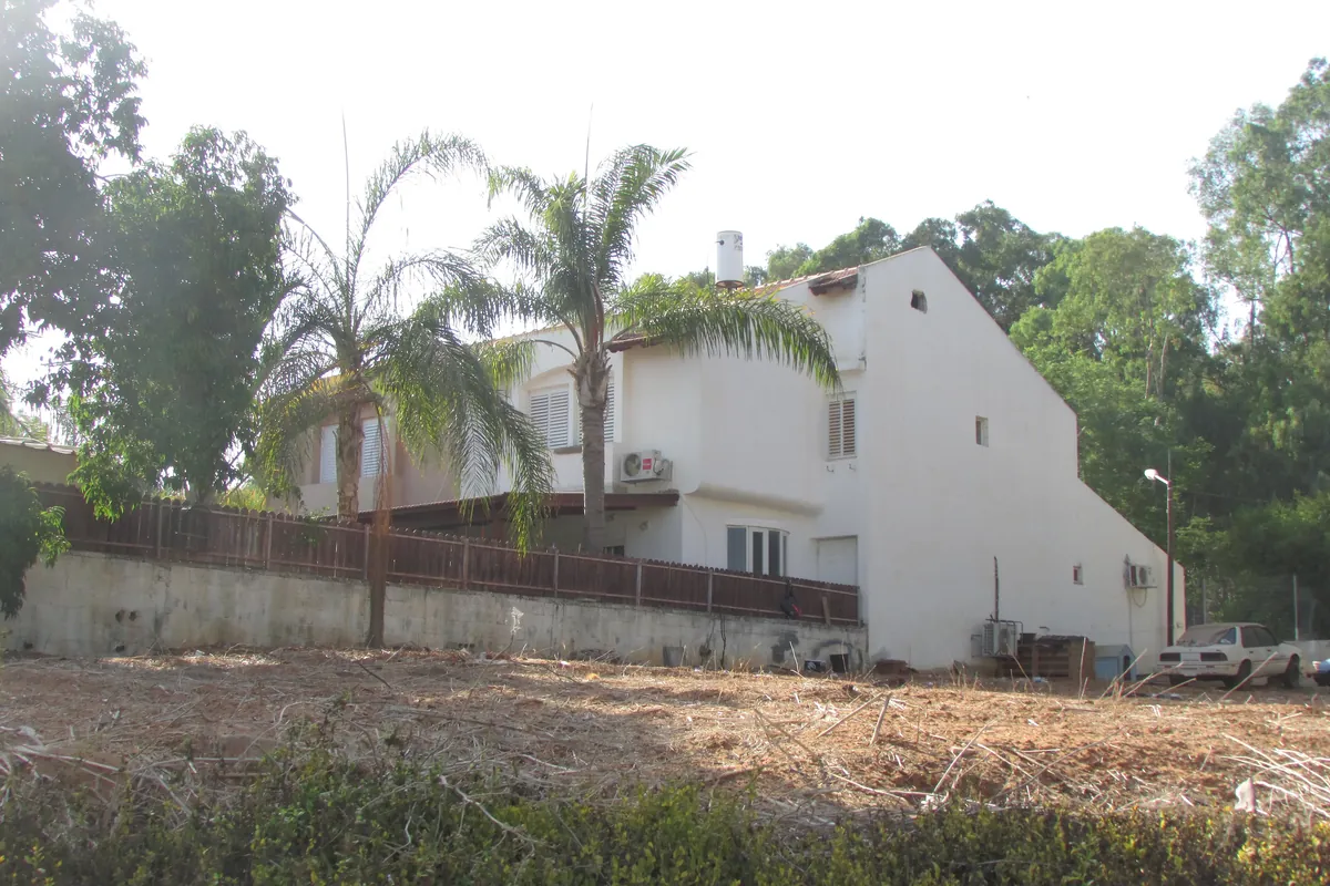 A white house among palm trees in the Kaplan neighbourhood of eastern Kfar Saba